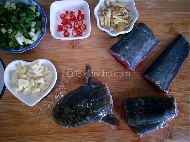 鲢鱼洗净去胡须和鱼鳍，切成四小段。