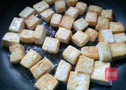 鲶鱼烧豆腐的做法图解7