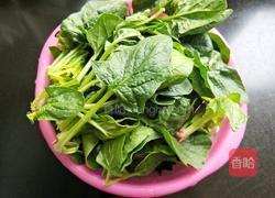 凉拌菠菜的做法图解2