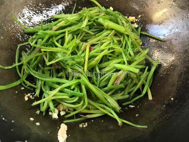 倒入菠菜梗