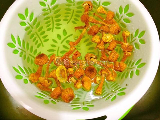 巴西菇用温水浸泡20分钟
