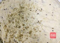 苏子锅盔的做法图解4