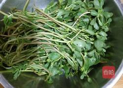 马齿苋大饼馍(蒸馍版)的做法图解1