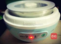 香橙酸奶的做法图解2