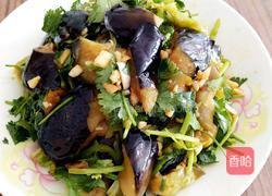 风味拌茄子的做法图解14