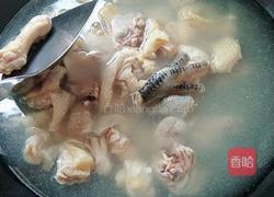 板栗烧鸡的做法图解2