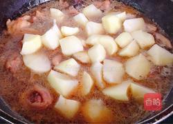 土豆炖鸡块的做法图解15