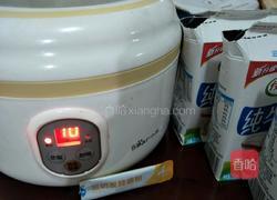 酸奶的做法图解5