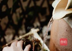 香椿鱼儿‖ 谷雨落时 一口香椿一口茶的做法图解2