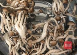 双菇烩鸭的做法图解3