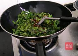 辣炒茼蒿菜的做法图解5