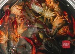 油焖小龙虾的做法图解4