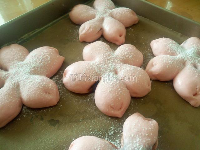 放入烤箱发酵 同时放热水保持湿度 发酵完成后喷水撒干粉