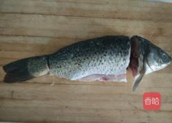 清蒸鲤鱼的做法图解2