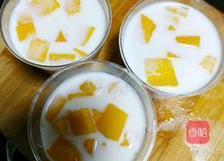 酸奶芒果布丁的做法图解6