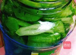 广式盐干酸菜的做法图解4