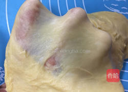 沙拉彩色肉松面包的做法图解5