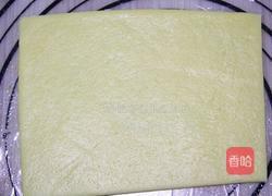 春色~你有故事我有花的做法图解5