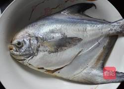 红烧鲳鱼的做法图解1