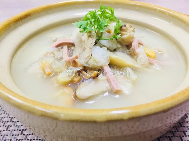 鱼翅煨鸡