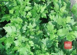 凉拌菊花嫩芽的做法图解1