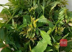 油炸花椒叶的做法图解1