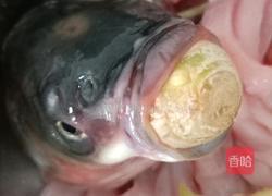 松鼠鱼的做法图解7