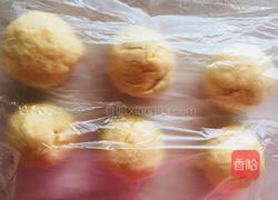 椰蓉蔓越莓面包(手揉面)的做法图解5