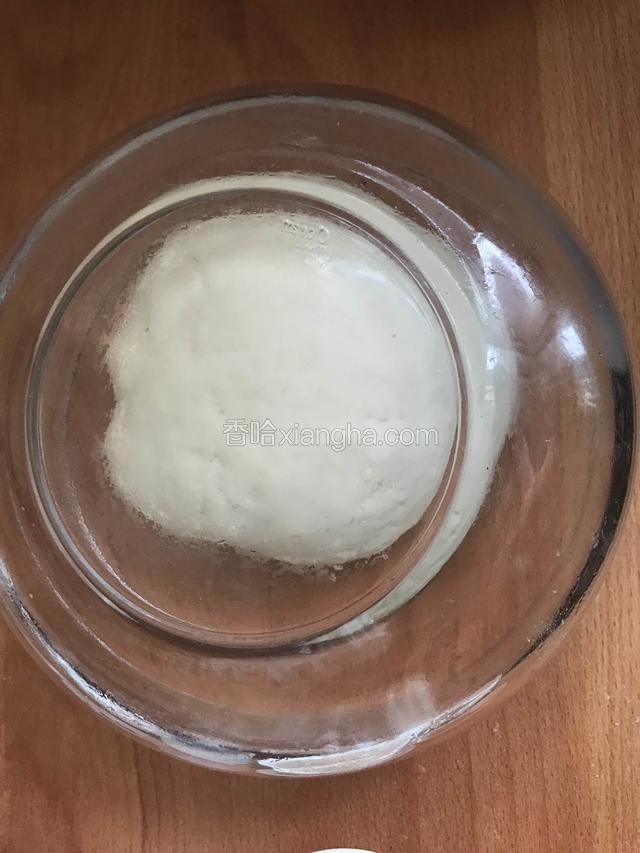 密封发酵至两倍大
