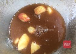 苹果枇杷汁的做法图解5