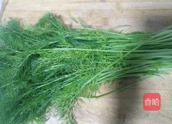 茴香鸡蛋饺子的做法图解5