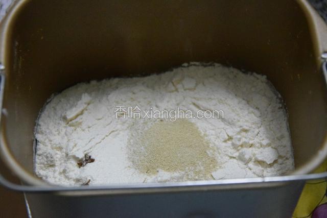 将除黄油外的所有食材倒入面包桶中，酵母避免与水和盐接触