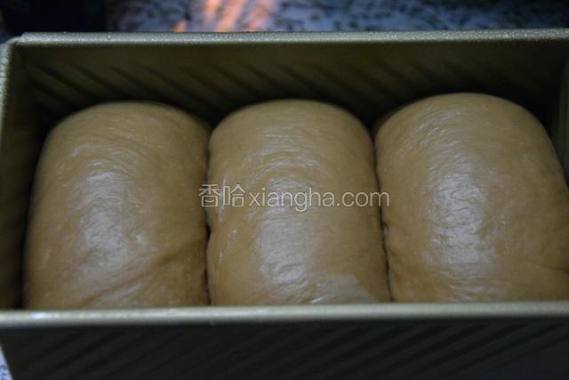 发酵好的面团