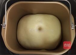 炼乳吐司(中种)的做法图解6