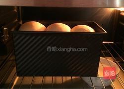 炼乳吐司(中种)的做法图解13