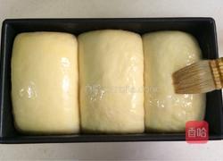 炼乳吐司(中种)的做法图解14