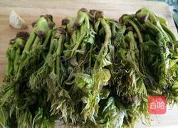 刺老芽炒鸡蛋的做法图解1