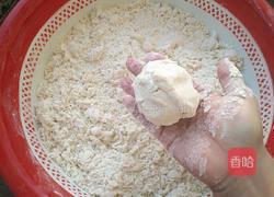 原味馒头(酵母版)的做法图解4