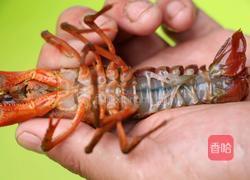 潜江油焖大虾的做法图解2