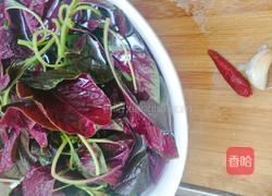 清炒小米菜的做法图解1