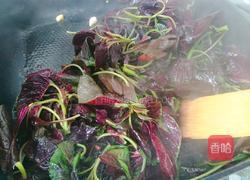 清炒小米菜的做法图解4