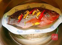 清蒸非洲鲫鱼(清蒸罗非鱼)的做法图解5