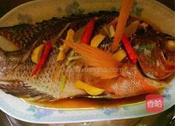 清蒸非洲鲫鱼(清蒸罗非鱼)的做法图解6