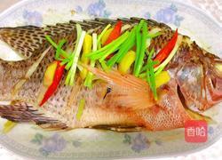 清蒸非洲鲫鱼(清蒸罗非鱼)的做法图解7