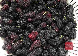 桑葚果酱的做法图解1