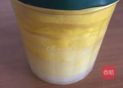 蜂蜜柠檬的做法图解8