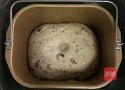 燕麦蜂蜜软欧包的做法图解7