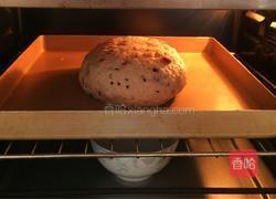 燕麦蜂蜜软欧包的做法图解11