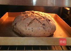 燕麦蜂蜜软欧包的做法图解13