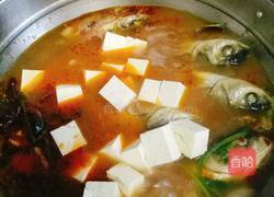 鲢鱼炖豆腐的做法图解11